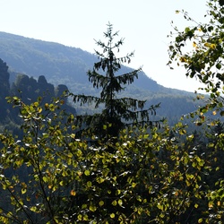 2018-10 Prague/Sächsische Schweiz/DSC_5671.JPG